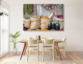 Quadro su tela – Erbe medicinali