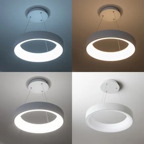 Brilagi - Lampadario LED Dimmerabile su corda FALCON LED/80W/230V 3000-6500K + tc