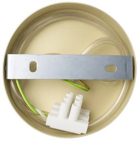 Lampada da parete CAPITAL 1xGX53/15W/230V dorata