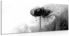 Stampa su tela – Fiore interessante in bianco e nero