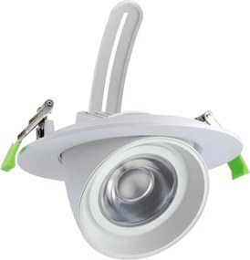 Faro LED da Incasso 36W Orientabile Foro Ø160mm Bianco Variabile con driver Philips Colore Bianco Variabile CCT