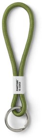 Anello di chiave verde Green 15-0343 - Pantone