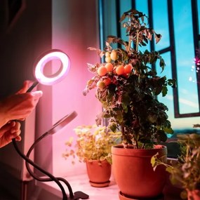 Lampada da tavolo LED Stm flex con clip per piante VITARO 2xLED/4W/230V nera