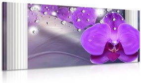 Quadro su tela – Orchidea presso colonne greche