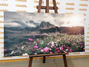 Quadro su tela – Prato di fiori in fiore