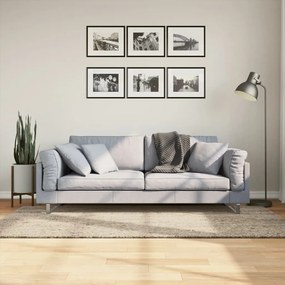 Tappeto A Pelo Lucido Lungo Istan Effetto Beige 100x200 Cm /