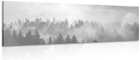Quadro su tela – Nebbia sopra la foresta in bianco e nero
