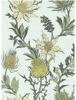 Cole & Son Carta da parati Thistle - Duck Egg