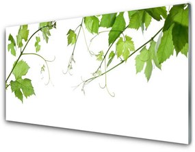 Pannello retrocucina Rami, foglie, natura, fiori 100x50 cm