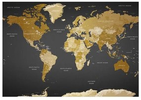 Fotomurale adesivo World Map: Modern Geography