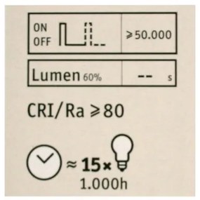 Lampadina LED dimmerabile CLASSIC G125 E27/4,5W/230V 2500K - Paulmann 28770