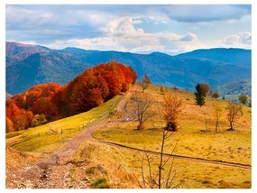 Fotomurale Colori d'autunno nei Carpazi