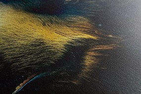 Stampa su tela – Orso blu-oro