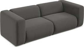 Divano grigio con rivestimento in velluto 228 cm Ekahi – Makamii