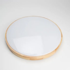 Brilagi - Plafoniera LED dimmerabile PINE LED/60W/230V + telecomando