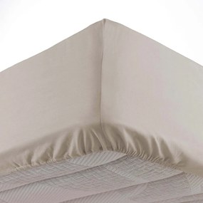 Lenzuolo beige in microfibra elasticizzata 140x190 cm Oscar - douceur d'intérieur