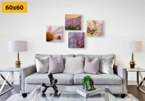 Set di quadri – Fioritura della natura