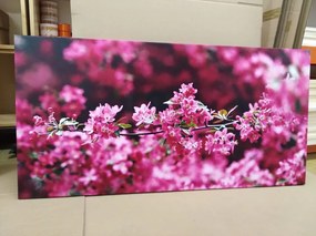 Stampa su tela – Dettaglio di fiori di ciliegio