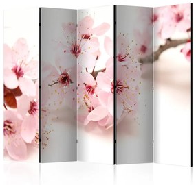 Paravento   Cherry Blossom II [Room Dividers]  Colore Rosa, Dimensioni e Misure 225x172