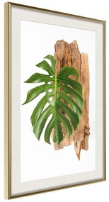 Poster  Leafy Etude  Cornice Quadri Cornice d'oro con passe-partout, Larghezza x Altezza Home decor 20x30