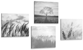 Set di quadri – Incanto del paesaggio in bianco e nero