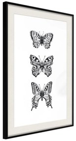 Poster  Butterfly Collection III  Cornice Quadri Cornice nera con pass-partout, Larghezza x Altezza Home decor 40x60