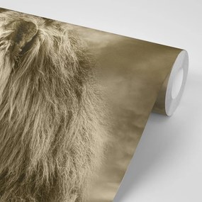 Carta da parati – Leone africano in seppia