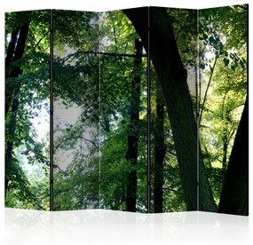 Paravento design Primavera nel parco II - paesaggio di alberi e foglie