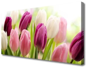 Quadro su tela Tulipani Fiori Natura Prato 100x50 cm
