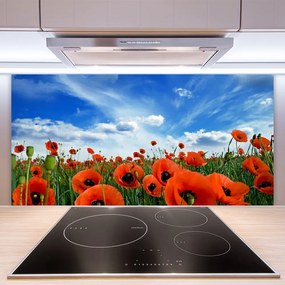 Rivestimento parete cucina Fiori di papaveri di prato 100x50 cm