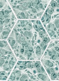 Rebel Walls Tapete Marbled Hexagon Tiles - Green