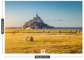 Carta da parati Le Mont Saintmichel 104x70 cm