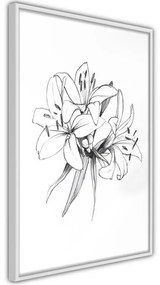 Poster Sketch of Lillies