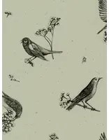Coordonne Carta da parati Sweet Birds - Matcha