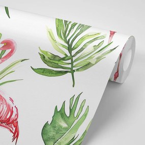 Carta da parati – Fenicotteri nei Tropici