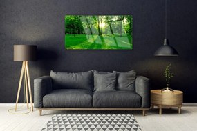 Quadro acrilico Parco Naturale della Foresta 100x50 cm