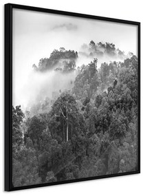 Poster  Foggy Forest  Cornice Quadri Cornice nera, Larghezza x Altezza Home decor 50x50