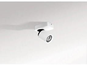 Azzardo AZ0662 - Luce Spot TOMI 1xGU10/50W/230V