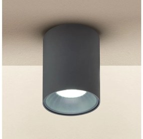 Brilagi - Faretto TRINE 1xGU10/30W/230V antracite