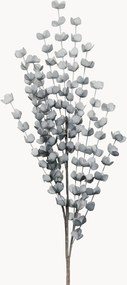 Set di 2 fiori artificiali Eucalyptus