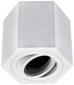 Plafoniera ARENO 1xGU10/30W/230V bianca