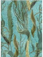 Mindthegap Carta da parati Aquatic Plants - WP20716