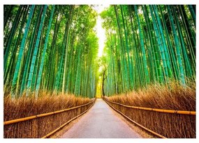 Fotomurale adesivo  Bamboo Forest  Larghezza x Altezza Home decor 98x70