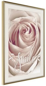 Poster  Rose with a Message  Cornice Quadri Cornice d'oro con passe-partout, Larghezza x Altezza Home decor 30x45