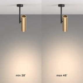 Maytoni C020CL-01GB - Faretto ELTI 1xGU10/50W/230V oro