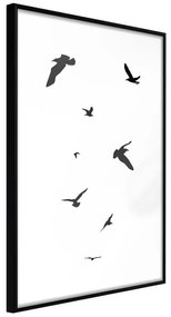 Poster  Birds  Cornice Quadri Cornice nera, Larghezza x Altezza Home decor 30x45