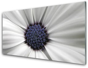 Quadro in vetro acrilico I fiori della pianta 100x50 cm