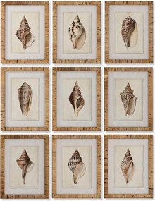 Set di 9 stampe digitali incorniciate Conch