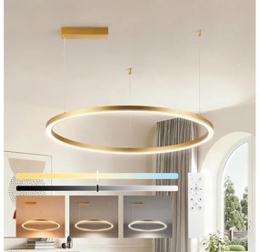 Brilagi - Lampadario LED dimmerabile su cavo PORTOFINO LED/60W/230V Ø 80 cm dorato + telecomando