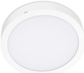 Plafoniera LED SIGARO CIRCLE LED/24W/230V 4000K IP40